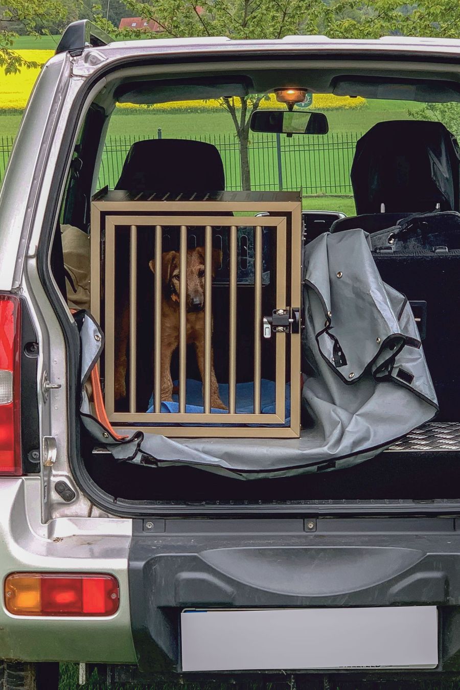 PRO DOG Hundetransportbox Referenzbild