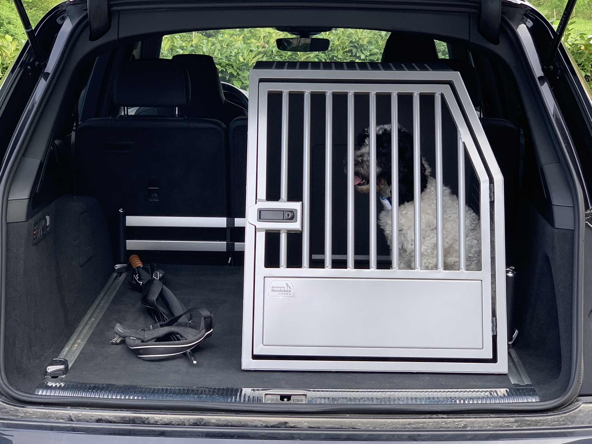 Basis-einzelhundebox geschlossen