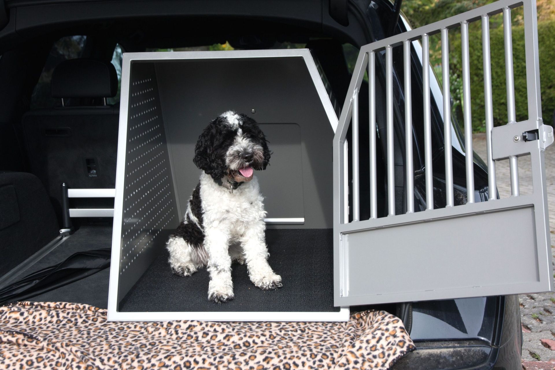 FAQ Hundetransportboxen - Referenzbild