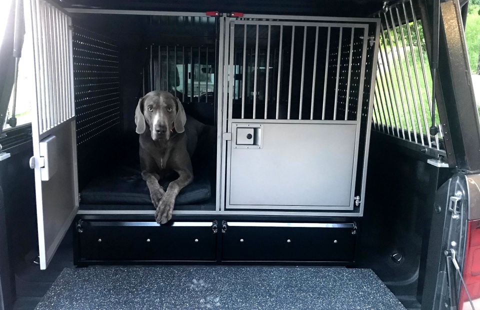 Maßgeschneiderte Hundeboxen