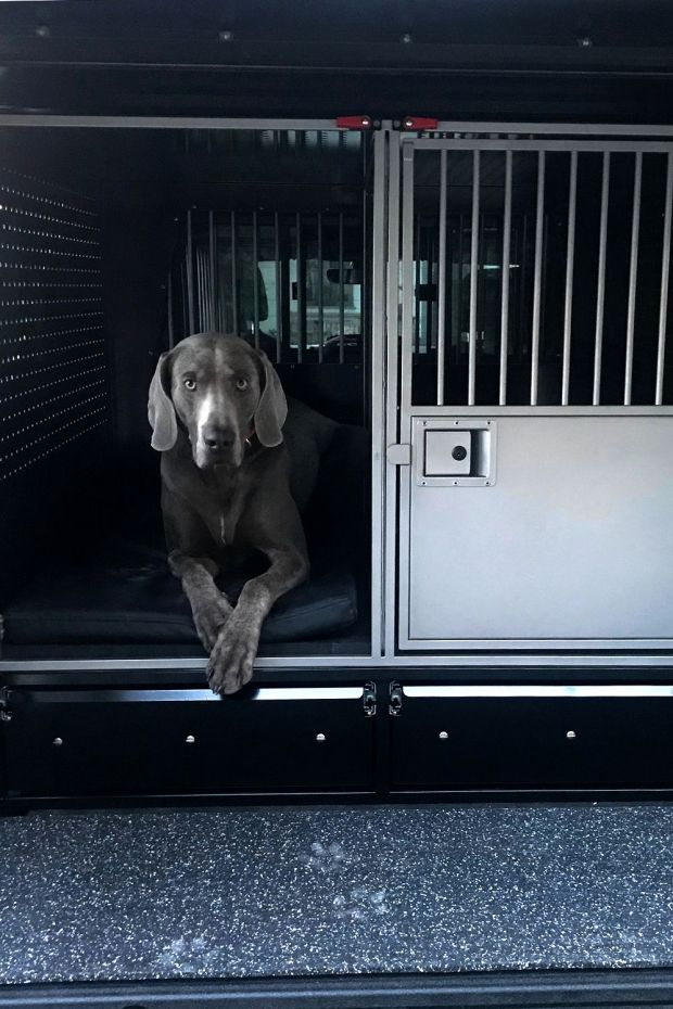 Maßgeschneiderte Hundeboxen