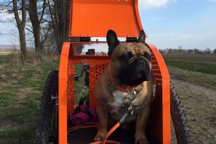 GLA-WEL | Fahrradhundeboxen