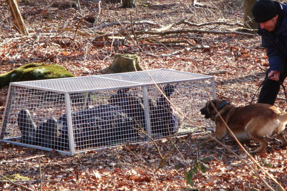 GLA-WEL| Verbellschutz-Käfig