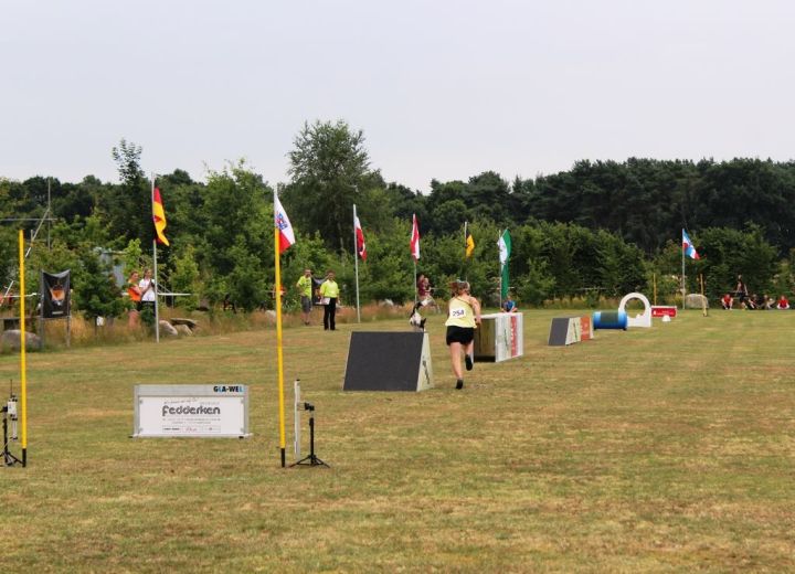 Agility-Hürden & Hindernisse