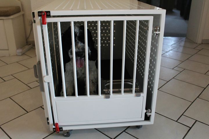 GLA-WEL | Rollbare Hundetransportboxen