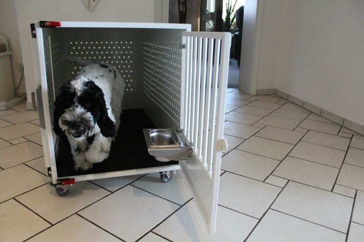 Rollbare Hundetransportboxen