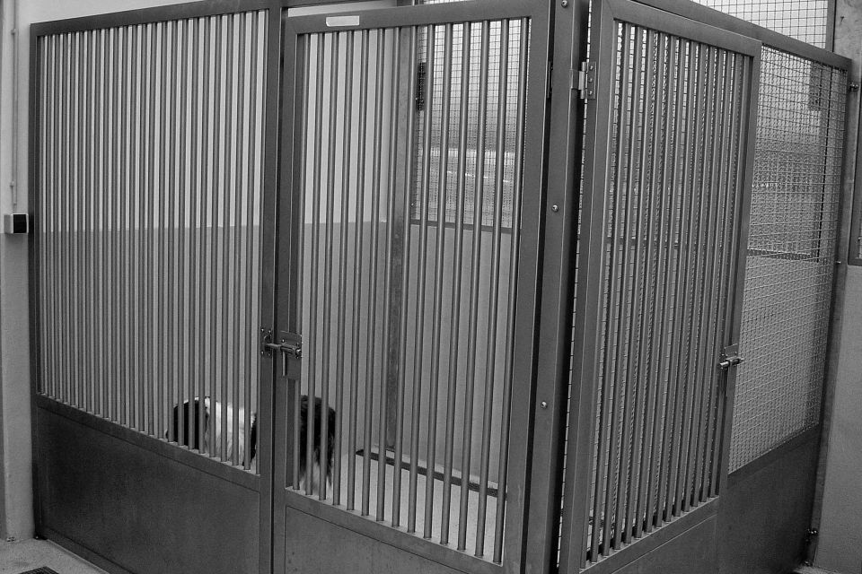 GLA-WEL | Tierklinik-Ausstattung Zwinger