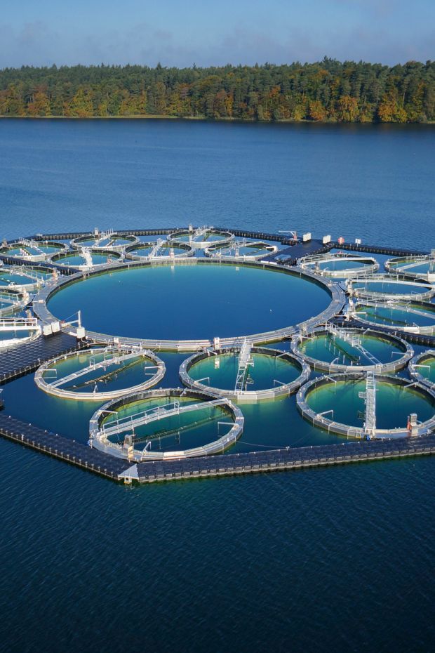 GLA-WEL| Aluminiumverarbeitung für Seelabor 